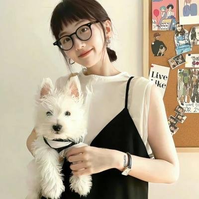 小镇大法官